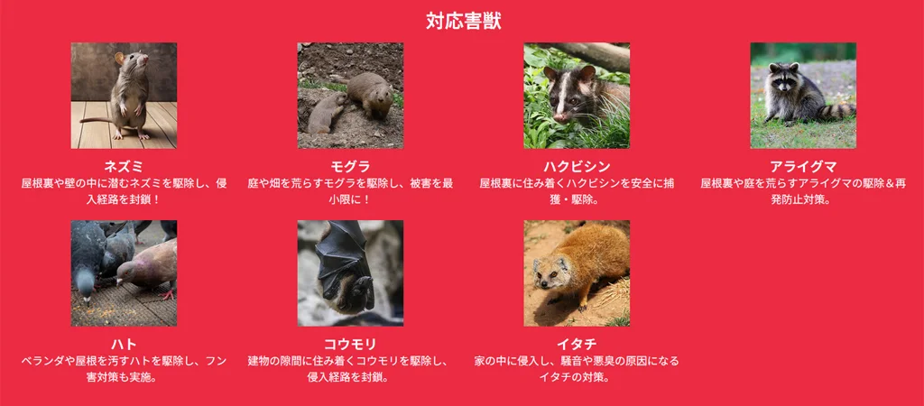 住宅の屋根裏に侵入しやすい害獣の種類を示すイメージ